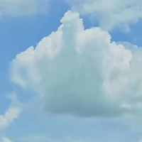 Rui🐧