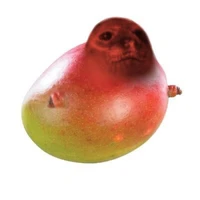 Mulgaewa Manggo