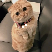 Kama