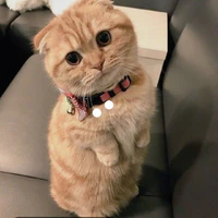 Kama