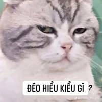 Con nhỏ t/giả bị khùm