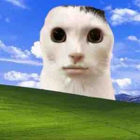 Tg sô cô lô cái bô