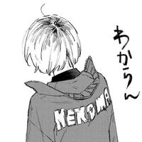 JAY °×°