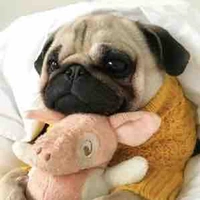 Muối tôm - Kiều Anh