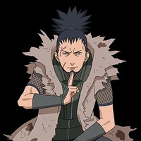 Nara Shikaku
