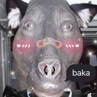 oi oi oi bakaa