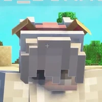 16_DonMC