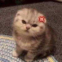 con tác giả nè