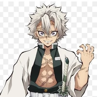Sanemi Shinazugama