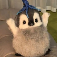 Kayu