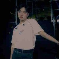 Nguyễn Thanh Pháp-Pháp kiều