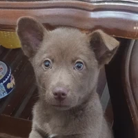 T/g thân mến❤️