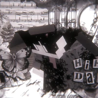 Hiha dark