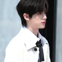 đinh Trần hâm [anh cả]