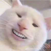 tg ngáo lonz