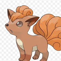 Rokon