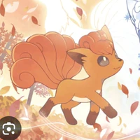 Rokon - Yurri