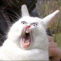 all nhân vật ( trừ ai thì trừ )