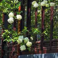 con tác giả bị khùn :))