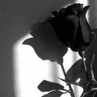 Kẻ làm cho Hiha có tâm trạng tốt