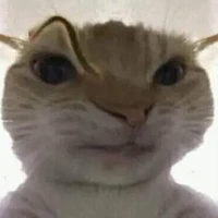 t/g bị tẻn tẻn..😞