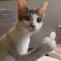 tác giả thích làm độc giả đau khổ