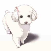 Tiu (chó của Almira)