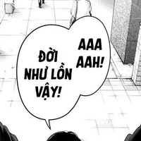 Cân mọi nvp