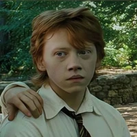 Ronald Weasly(Ron)