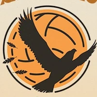 Karasuno ( đội bóng chuyền)