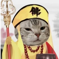 hệ thống meo meo