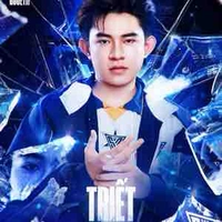 nguyễn phan hoài triết - spn triet.