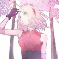 Sakura 