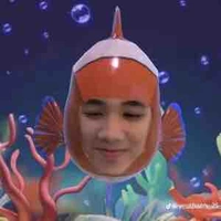 hệ thống CAPTAIN BOY mã277 