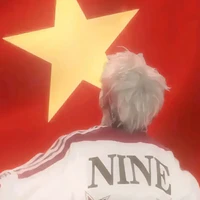 t/g nò