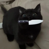 Mimi