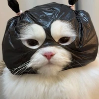 Nhỏ t/g ẹc ẹc