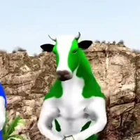 ???