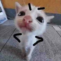 T/g này BÌNH THƯỜNG 