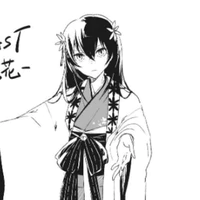 Kyoka Izumi (beast)