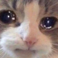 Tg lụy crush
