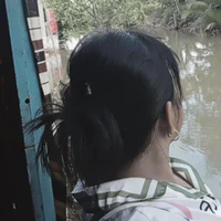 T/g nò