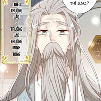 Triệu trưởng lão (Trường Minh tông)