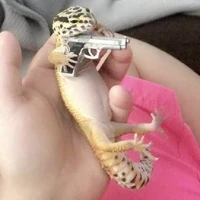 con tác giả đam mê bò sát :P