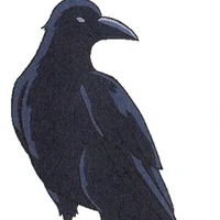Joko