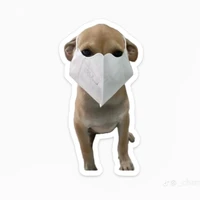 tao tác giả tao làm cha