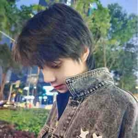 Vương Lỗ Kiệt 