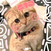 ~meo~( tác giả)