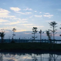 -hệ thống -(chill)