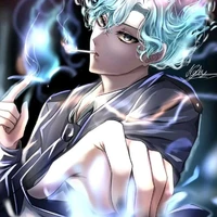 hiha des